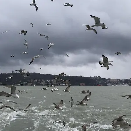 An Tale,an Dream,the Bosphorus 1 Appartement Istanboel