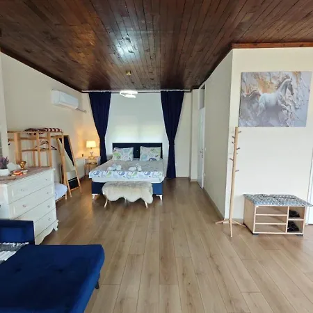 An Tale,an Dream,the Bosphorus 1