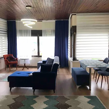 An Tale,an Dream,the Bosphorus 1 Appartement