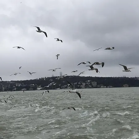 Apartamento An Tale,an Dream,the Bosphorus 1