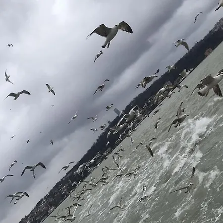 Appartement An Tale,an Dream,the Bosphorus 1