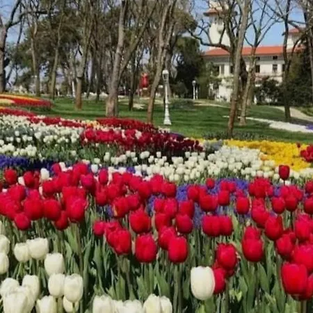 An Tale,an Dream,the Bosphorus 1 *