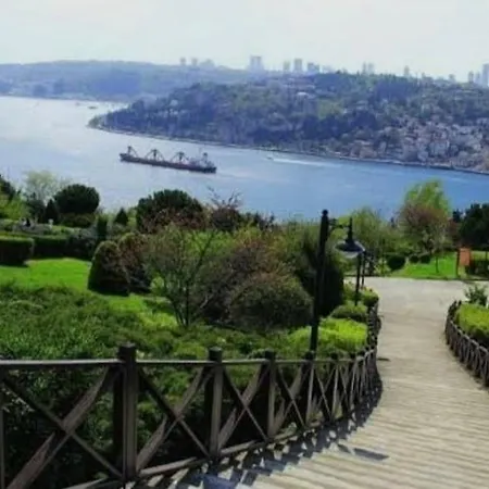 An Tale,an Dream,the Bosphorus 1 *